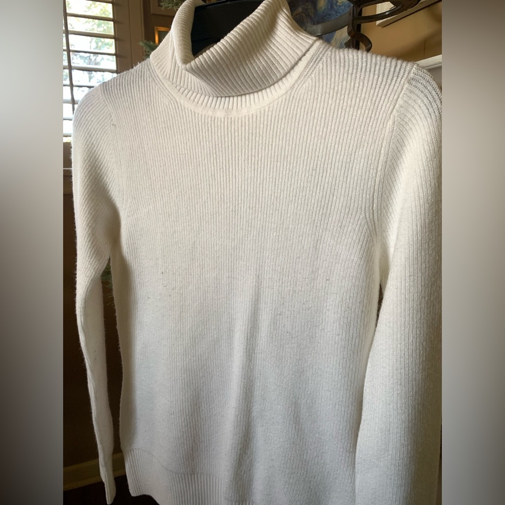 Ribbed turtleneck sweater